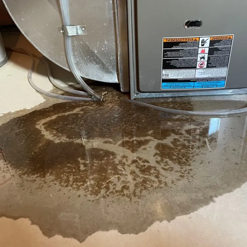 Pipe Burst and Leak Restoration in Springfield, PA